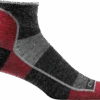 Darn Tough Men's 1/4 Ultra Light Running Sock - Team DTV (1715-TEAM DTV) -Sports Equipment 1715 TeamDtv 1024x1024 5a2a2948 eb87 417f 9477 af27d2653739