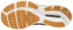 Mizuno Men's Rider 24 Waveknit -Sports Equipment 411225 9098 02