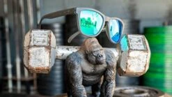 Goodr Sunglasses - OG Beast Collection (OG) 8 Goodr Sunglasses - OG Beast Collection (OG) -Sports Equipment Product 0009 Silverback 1000x d453092e adbf 4888 9597 575f8b234ba2