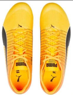 PUMA Unisex EvoSPEED Tokyo Brush 4 Track Spike 12 PUMA Unisex EvoSPEED Tokyo Brush 4 Track Spike -Sports Equipment PumaUnisexevoSPEEDTokyoBrush4 5