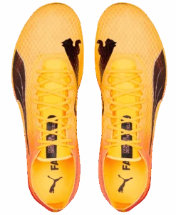 PUMA Unisex EvoSPEED Distance Nitro Elite+ 2 -Sports Equipment Screenshot2022 12 30134559 Edited
