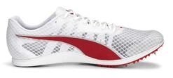 Puma EvoSPEED Distance 11 Spikes